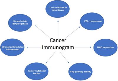 Progress Toward Identifying Exact Proxies for Predicting Response to Immunotherapies